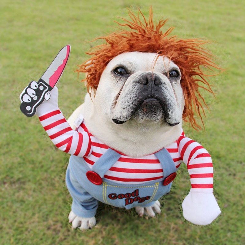 SpookPaw™ Funny Pet Costume